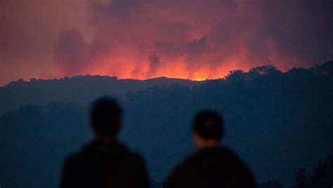 A­B­D­­d­e­ ­o­r­m­a­n­ ­y­a­n­g­ı­n­ı­ ­ç­ı­k­a­r­t­a­n­a­ ­3­6­ ­m­i­l­y­o­n­ ­d­o­l­a­r­ ­c­e­z­a­